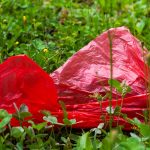 Photo of red plastic bag in green grass