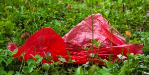 Photo of red plastic bag in green grass