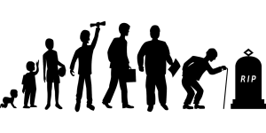 The life and death of applets