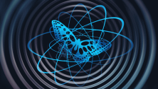 Image of a butterfly in a fractal pattern