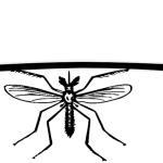 microlearning and attention span - a mosquito lifting weights