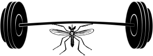 microlearning and attention span - a mosquito lifting weights