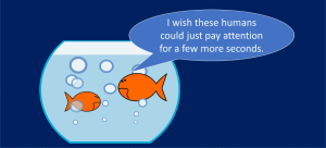 Misinformation about attention span - cartoon of goldfish
